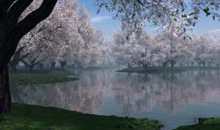 3d高清电脑桌面壁纸 3d高清电脑桌面壁纸