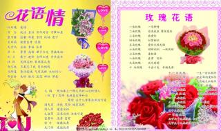 50种浪漫鲜花花语大全