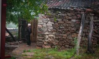 cf13号地区单人上房